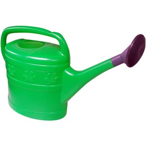 9 Litre Plastic Watering Can With Rose